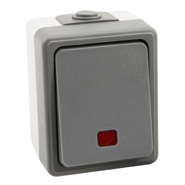 Feuchtraum Kontroll-Schalter Secure-Serie, IP44 grau