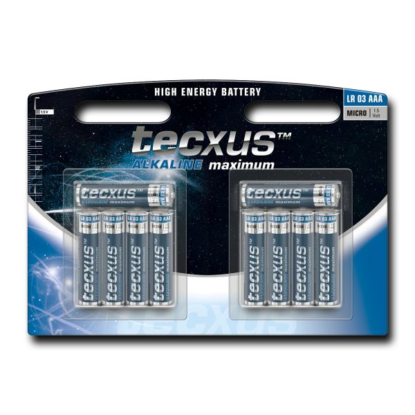 10 Micro-Batterien (AAA) tecxus Alkaline